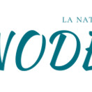 恵比寿シーシャ LA NATURE NODE