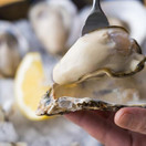 BACARO CARBON oyster bar
