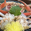酒場 やまと