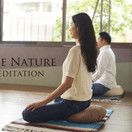 True Nature Meditation