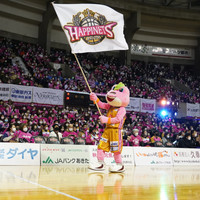 秋田ノーザンハピネッツ