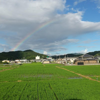 いのちの自己治癒サロン