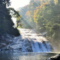渓谷別邸　もちの木