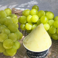 gelateria il cursore