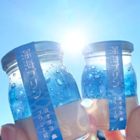 沼津深海プリン工房