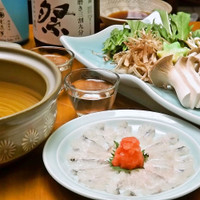 KOiBUMi