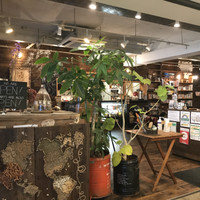 Spice＆Cafe FamFam （スパイス&カフェ ファムファム）