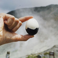 大涌谷くろたまご館