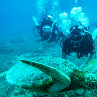SevenSeas世田谷