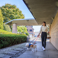 コレドール湯河原　Ｄｏｇ＆Ｒｅｓｏｒｔ
