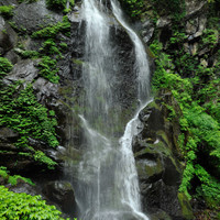 湯元板屋