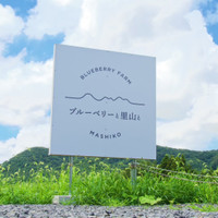 ブルーベリーと里山と