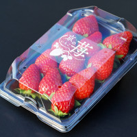 いちご農園 SAEMON FARM