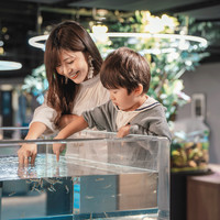 スマートアクアリウム静岡（SMART AQUARiUM SHIZUOKA）