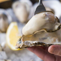 BACARO CARBON oyster bar