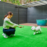 R with dog