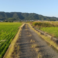 いのちの自己治癒サロン
