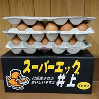 極生ぷりん専門店 にこ田