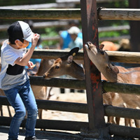 群馬サファリパーク