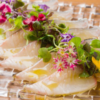 Osteria Falco オステリア ファルコ