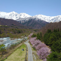 白馬村観光局インフォメーション