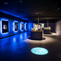スマートアクアリウム静岡（SMART AQUARiUM SHIZUOKA）