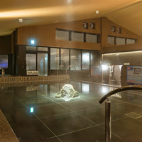 湘南RESORT SPA 竜泉寺の湯