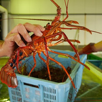 漁協直営食堂 いさばや