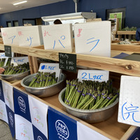 道の駅岩城『アキタウミヨコ』