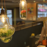 熟成チーズケーキカフェAnts' coffee company 大阪本町店
