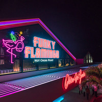 オールディーズライブ＆ダイニング Funky Flamingo