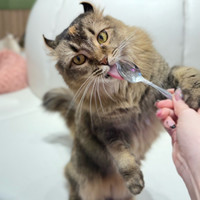 猫カフェ Puchi Marry イオンモール高岡店
