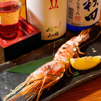 まめたい寿司 武蔵新城店