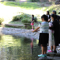 奥霧島皇子原公園キャンプ場