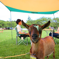 成田ゆめ牧場
