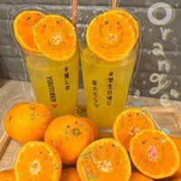 魚と7〜ととせぶん〜 豊田駅前