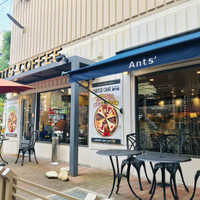 熟成チーズケーキカフェAnts' coffee company 大阪本町店