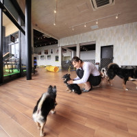 愛犬の駅 伊豆高原