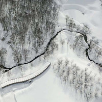 ICOR NISEKO