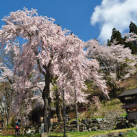 白馬村観光局インフォメーション