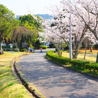 鳥羽市観光協会