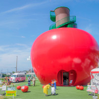 HELLO KITTY SHOW BOX