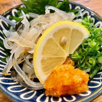 酒場 やまと