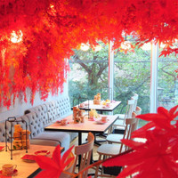 HAUTE COUTURE・CAFE（オートクチュールカフェ）