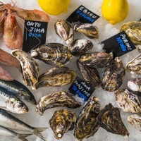BACARO CARBON oyster bar