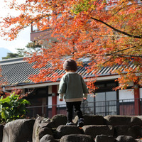 奥霧島皇子原公園キャンプ場