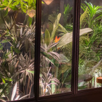 シーシャ Cafe&Bar DAYLIGHT 六本木店
