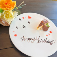 STARRY CAFE+（スターリーカフェ）