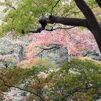 羽蒲ツアー