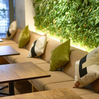 Bar and Restaurant COCONOMA